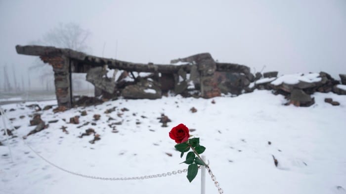 A rose next to the ruins of a gas chamber