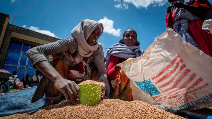 A woman in Tigray, Ethiopia, scoops up wheat for families given as part of an aid package