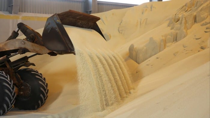 A front end loader pours granules of monoammonium phosphate into a large storage warehouse