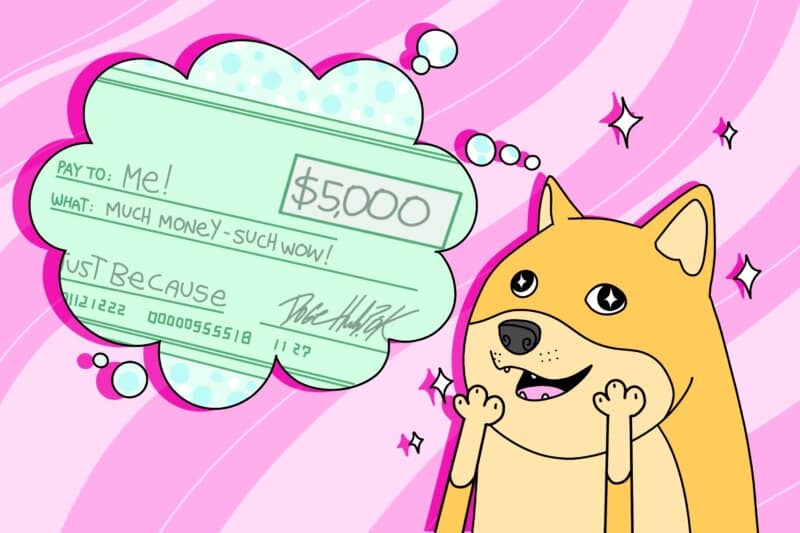 Will Americans Receive DOGE Stimulus Checks?