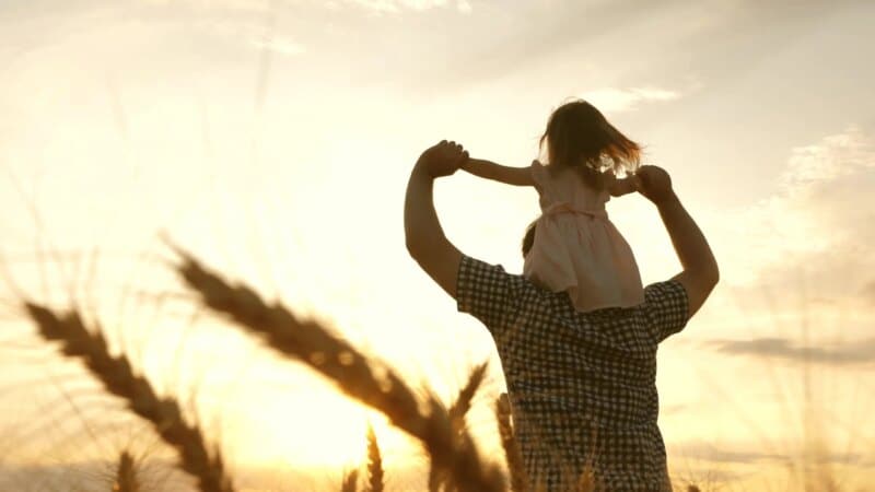 Freedom Debt Relief Review | Money