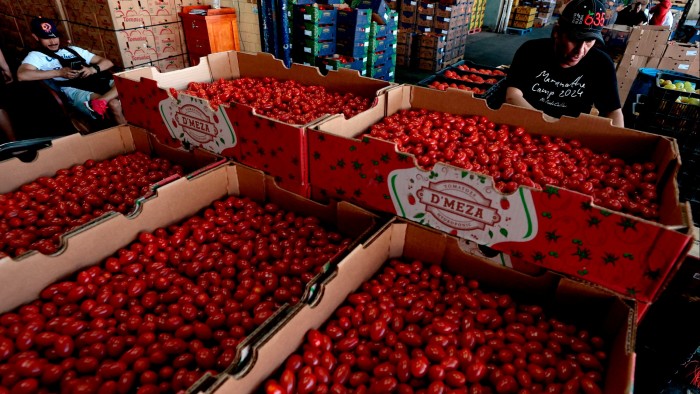 A farmer selects the best tomatoes for sale at the Central de Abastos market in Guadalajara, Jalisco state, Mexico