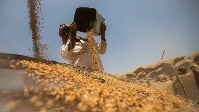 India offers US ‘deep’ tariff cuts, but shields grain and dairy markets