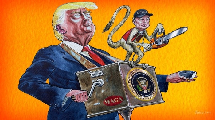 Illustration of Donald Trump as an organ grinder with Musk as a small chainsaw-wielding monkey perched on top of the barrel organ