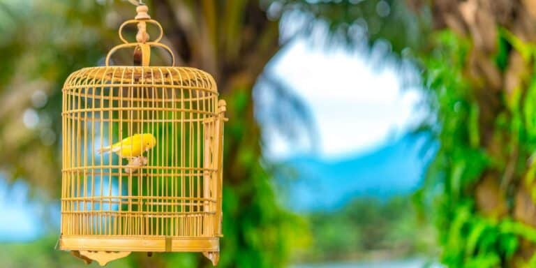 Gen Zer who built multimillion-dollar companies says work-life balance is a trap and lists 5 ways to 'optimize ruthlessly' during your peak years