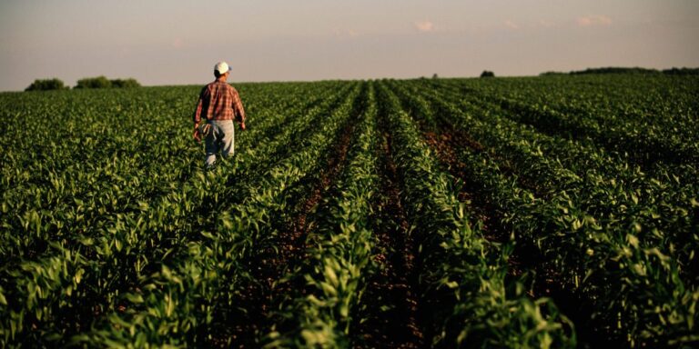Rural America is suffering an economic crisis as crop prices plunge