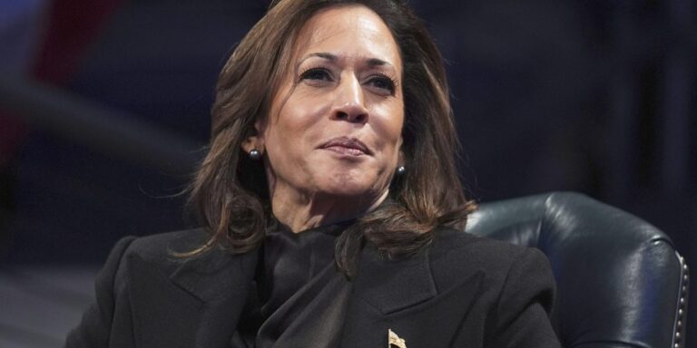 Kamala Harris rips 'recklessness' of Democrats—not Joe Biden—for letting him run again